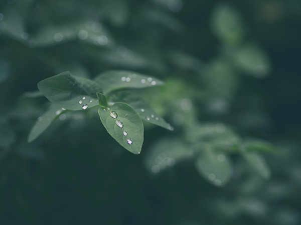 写水霸气古文